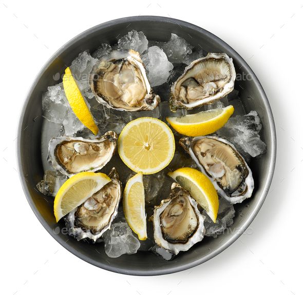 Fresh Oysters